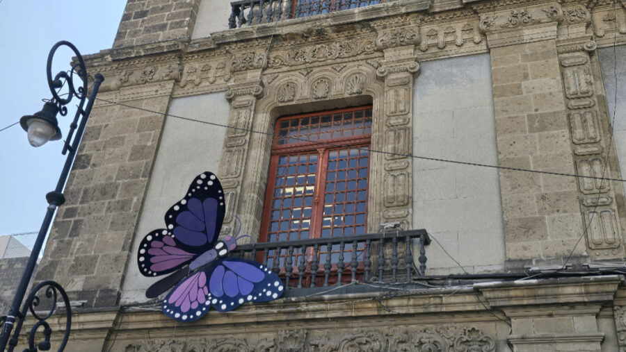 Good: A butterfly on a building in Mexico City